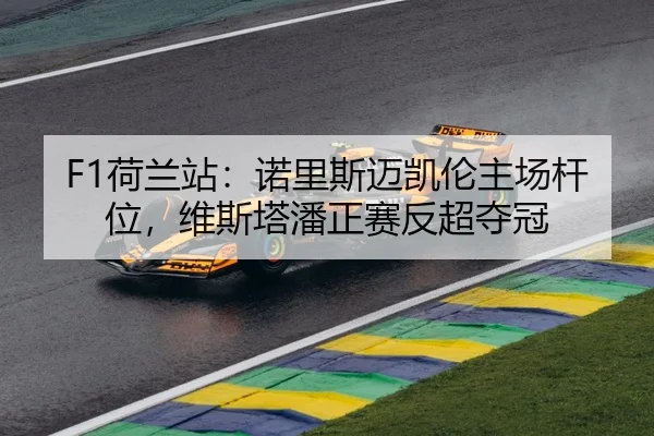 F1荷兰站：诺里斯迈凯伦主场杆位，维斯塔潘正赛反超夺冠